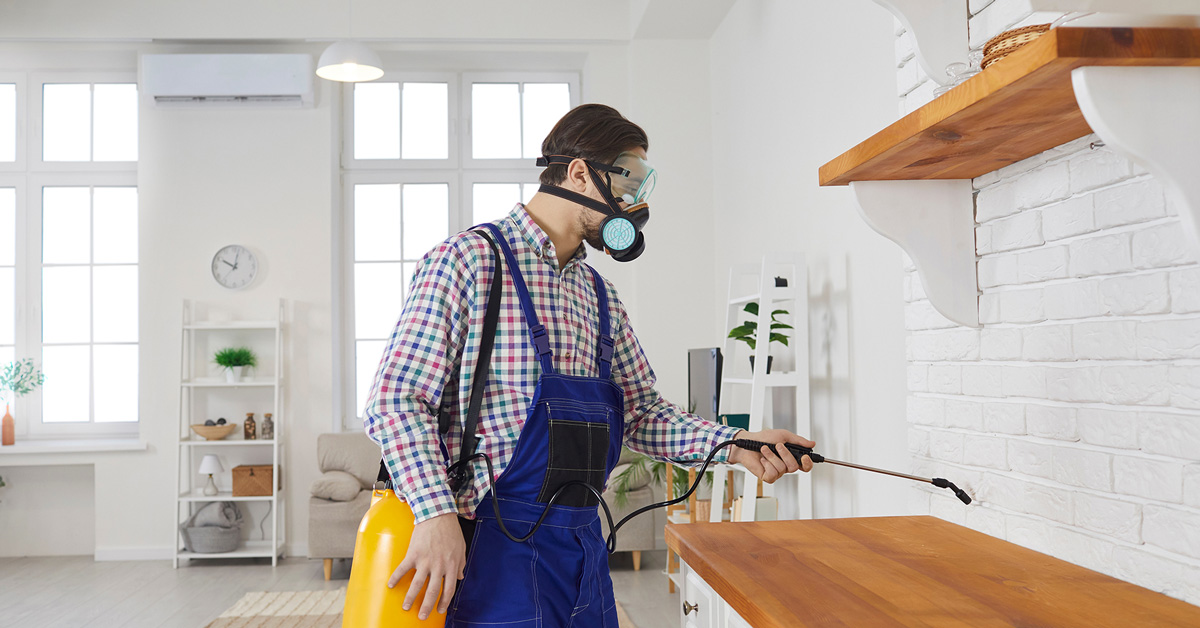 Technicien professionnel Déclic Parasites en intervention à Orléans